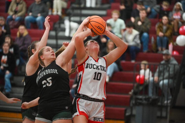 Bucktail girls fall to Meadowbrook in District 4 Class A quarters